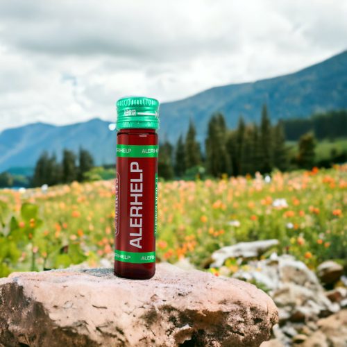 MARNYS ALERHELP, KAPRIBOGYÓ-,OLASZ SZALMAGYOPÁR-,FEKETE RIBISZKE-,GINZENG-,OLAJFALEVÉL KIVONATOT ÉS REZVERATROLT TARTALMAZÓ FOLYÉKONY ÉTREND-KIEGÉSZITŐ IVÓAMPULLA